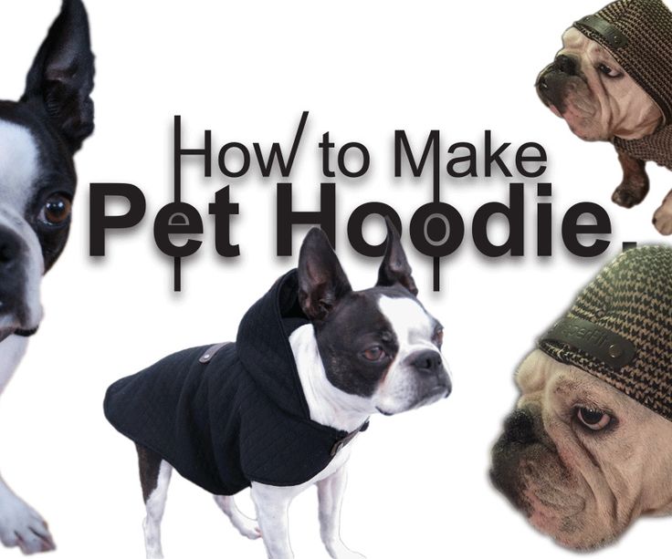 three dogs wearing sweaters and hats with the words how to make pet hoodie