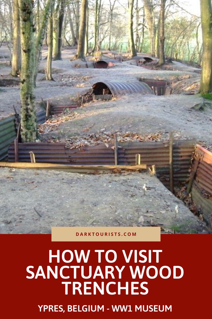 an old trench in the woods with text overlay that reads how to visit sanctuary wood trenchs