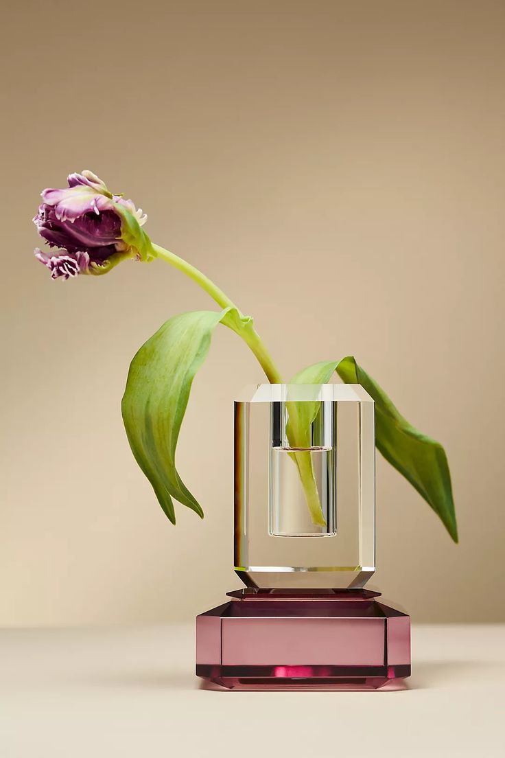 a purple flower in a glass vase on top of a pink stand with green leaves