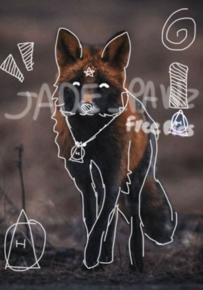 a drawing of a fox with many different things around it