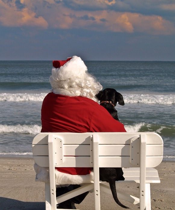 a man sitting on top of a white bench next to a dog wearing a santa suit