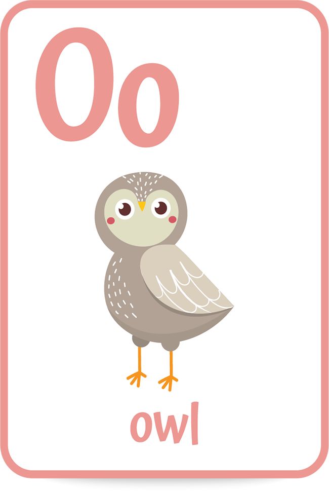 the letter o is for owl