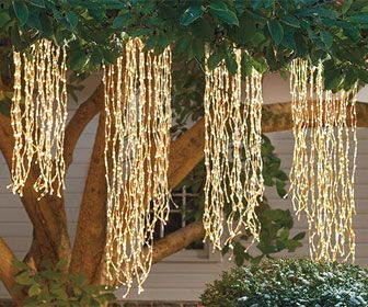 some lights hanging from a tree in front of a house