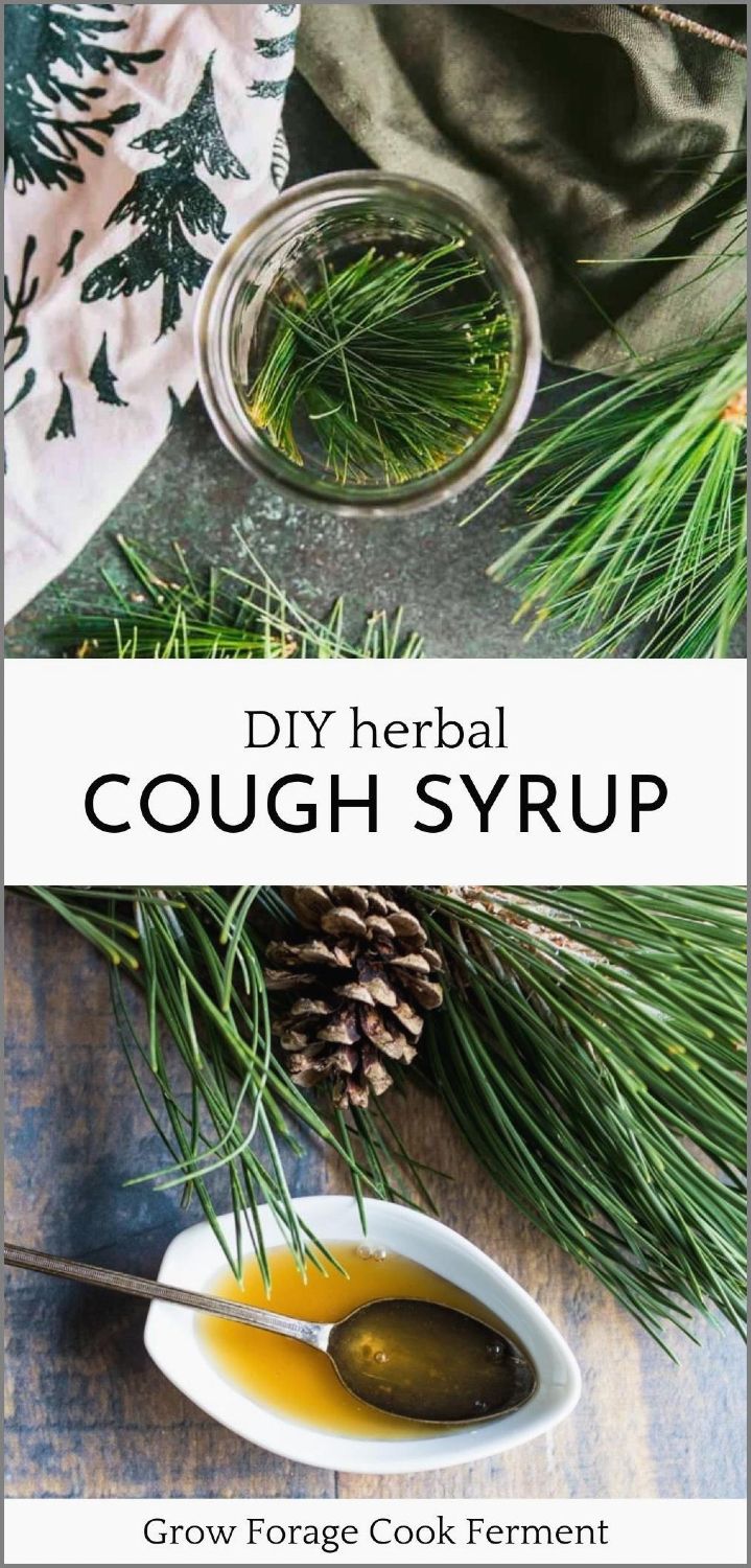 Experience the herbal goodness with our DIY herbal cough syrup. Packed with immune-boosting properties, it is a quintessential remedy for those foraging pine needles and exploring pine needle recipes & wild food foraging. Step into the world of natural well-being! Find more Wild Foraged Food Recipes & Foraging for Food at Grow Forage Cook Ferment. Herbal Syrups, Herbal Cough Syrup, Soothe A Sore Throat, Book Healing, Herbal Medicine Recipes, Wild Food Foraging, Diy Herbal Remedies, Herbal Remedies Recipes, Foraged Food