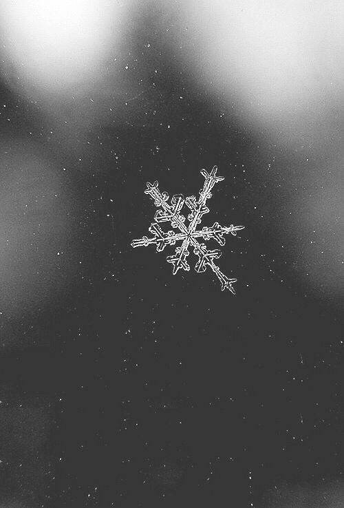 a snowflake is seen through the frosted window