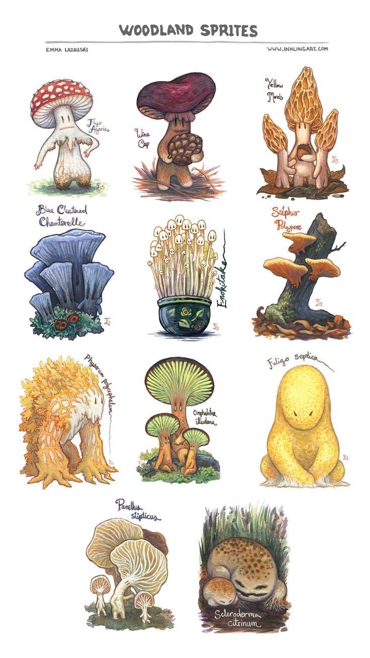 an image of different types of mushrooms on a white background with the words woodland spirits written below it