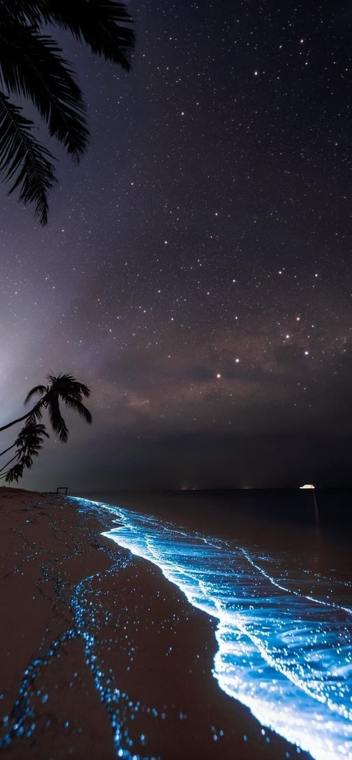 the beach is lit up with blue lights and stars in the night sky above it