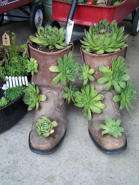 two pairs of boots with plants in them sitting on the ground next to a wheelbarrow