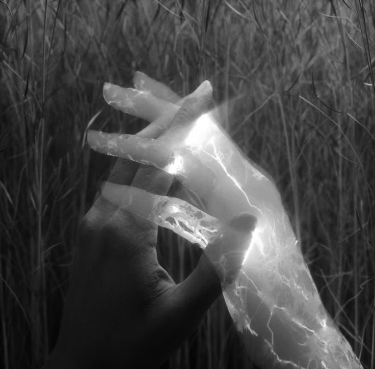 a hand holding ice cubes in the middle of a forest filled with tall grass