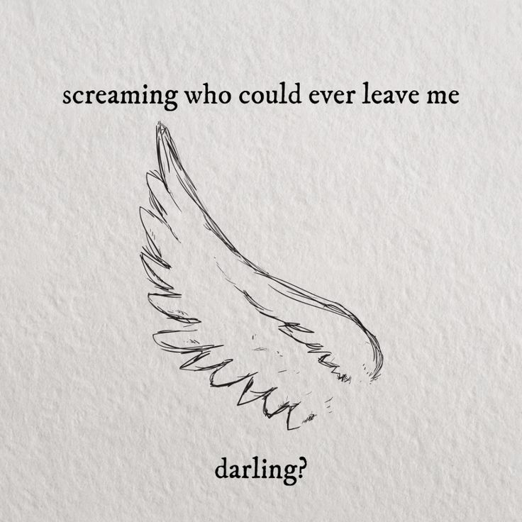 a drawing of an eagle with the words, screaming who could ever leave me darling?