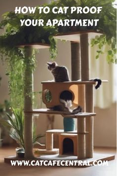 a cat sitting on top of a scratching tower with the caption how to proof your apartment