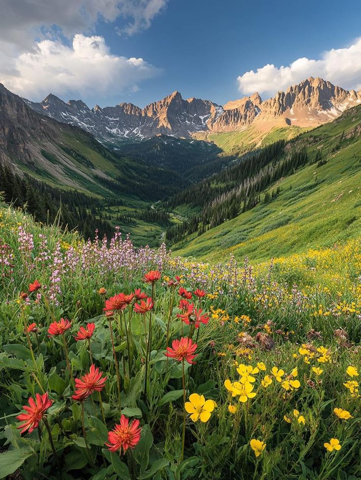 wildflowers in the foreground with mountains in the background, and clouds in the sky