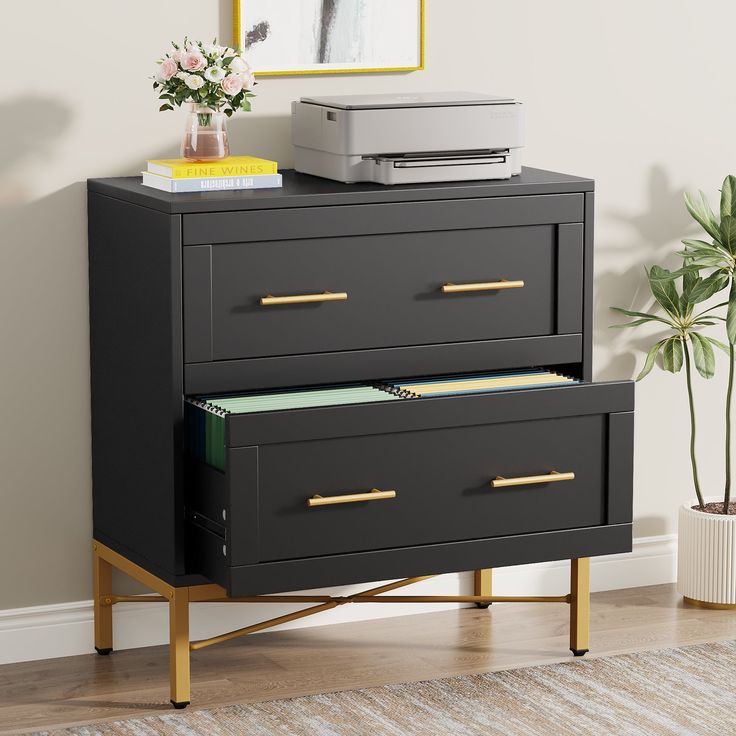 a black dresser with two drawers and a printer on top of it next to a potted plant