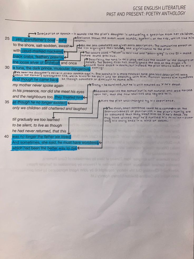 a piece of paper that has some type of text on it with blue lines in the middle