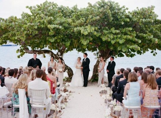 a couple getting married under a tree on the beach