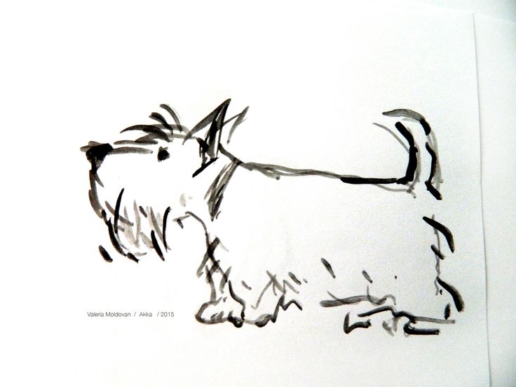 a black and white drawing of a dog on a white paper with writing underneath it