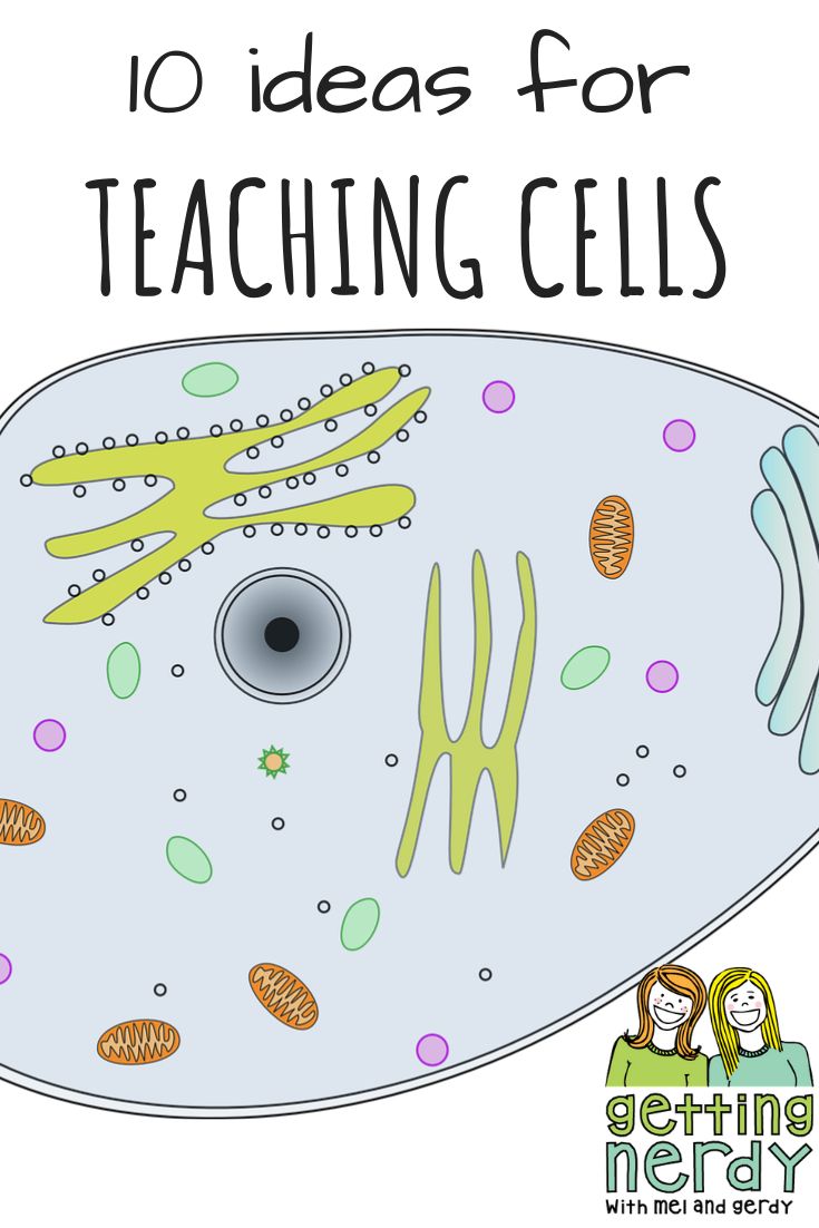 an image of a cartoon fish with text overlay that reads 10 ideas for teaching cells