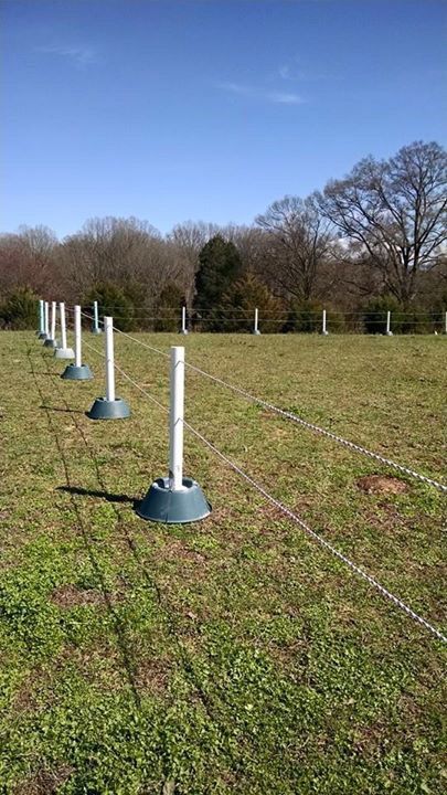 several poles in the middle of a grassy field with trees in the backgroud