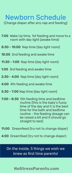 a blue and green poster with the words newborn schedule