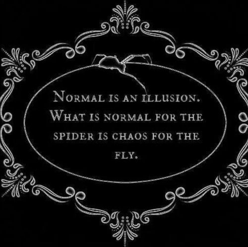 the quote normal is an illusion what is normal for the spider is chaos for the fly