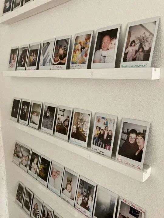 several pictures are hanging on the wall with magnets attached to each shelf and two shelves holding photos