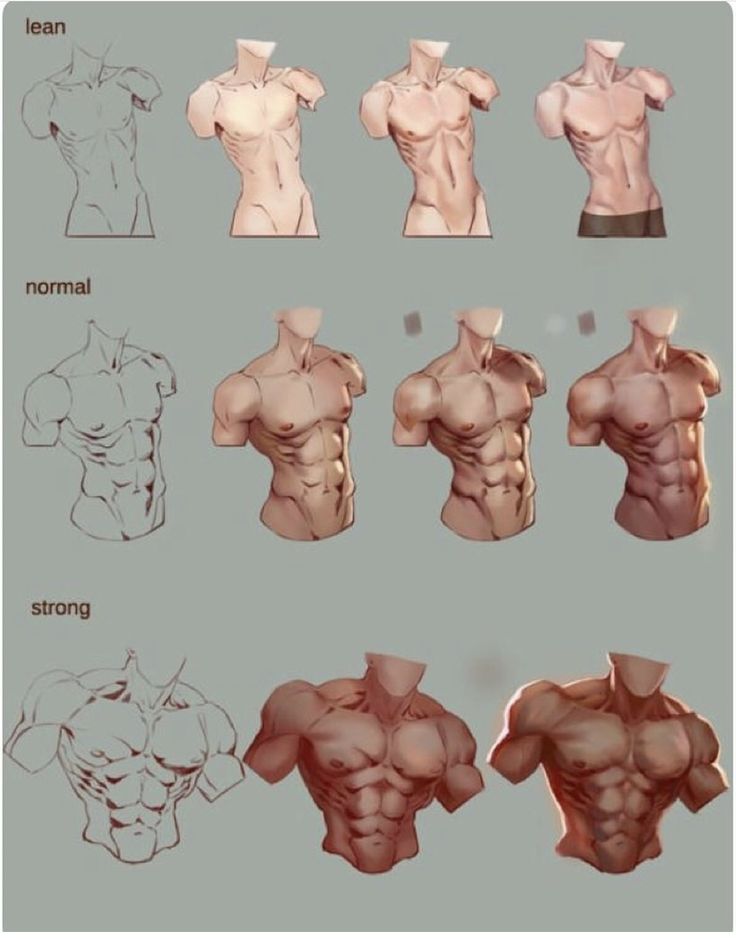 an image of the back and chest muscles in different positions, with text below it