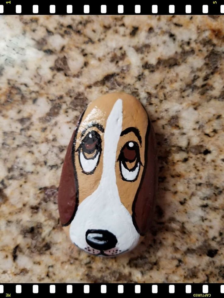 a rock with a dog's face painted on it sitting on a granite counter