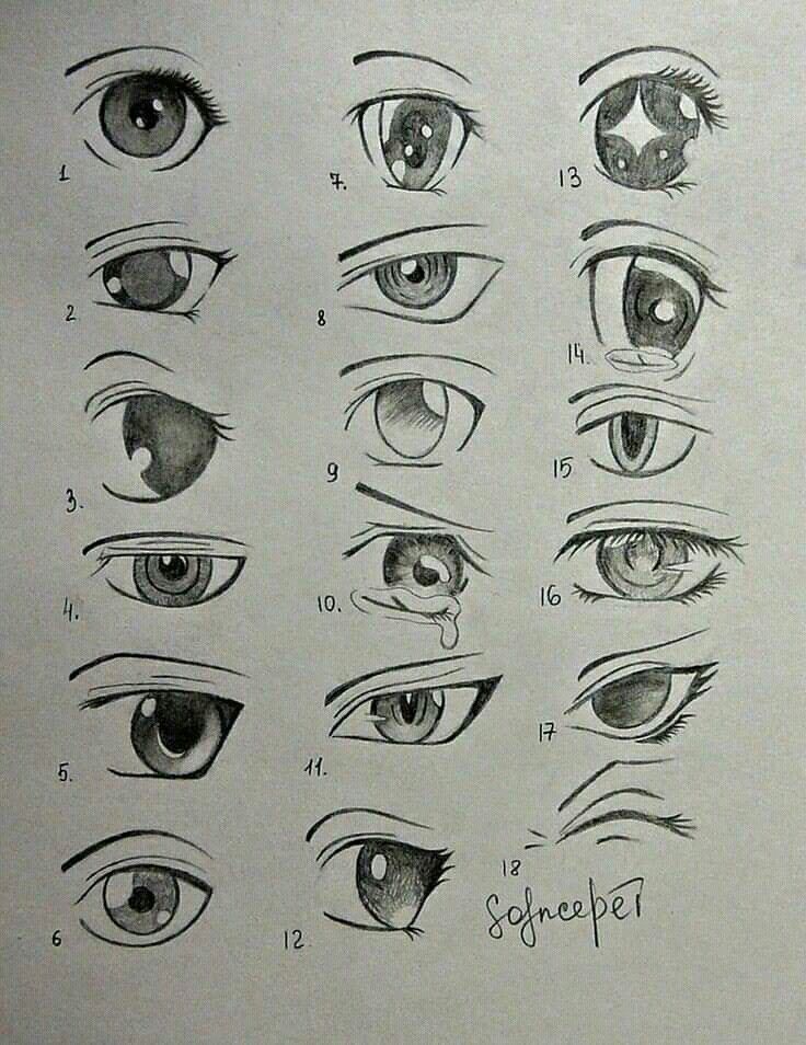 an image of different types of eyes drawn by someone's pencil drawing skills on paper