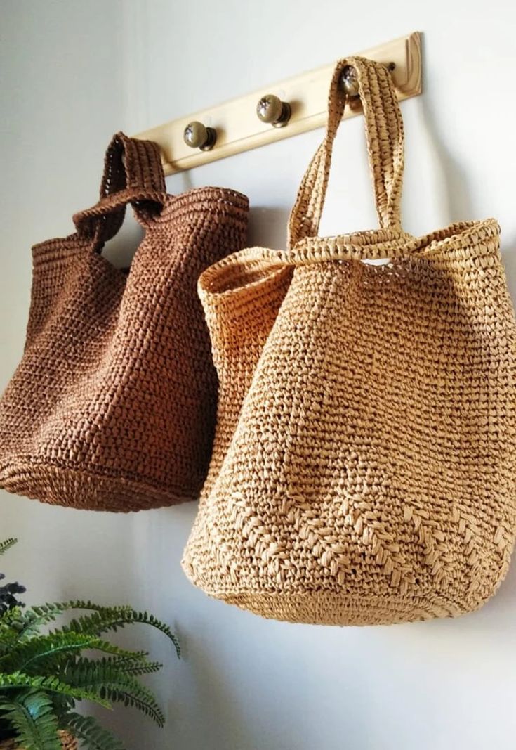 two purses hanging on the wall next to a potted plant