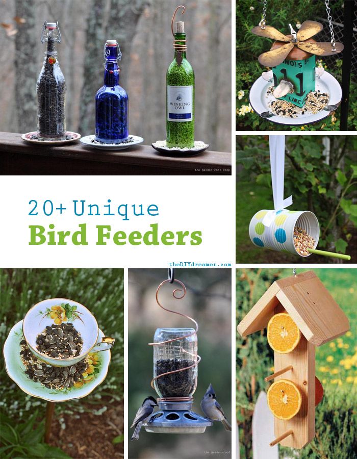 various bird feeders are shown in this collage