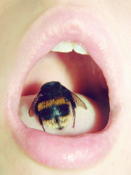 a close up of a person's mouth with a bee in the middle of it