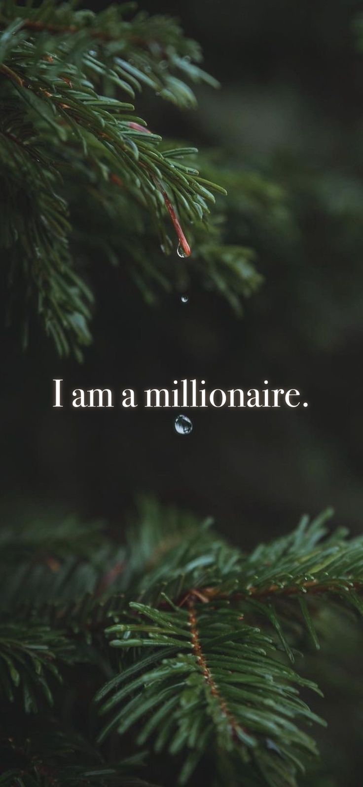 a pine tree with the words i am a millionaire hanging from it's branches