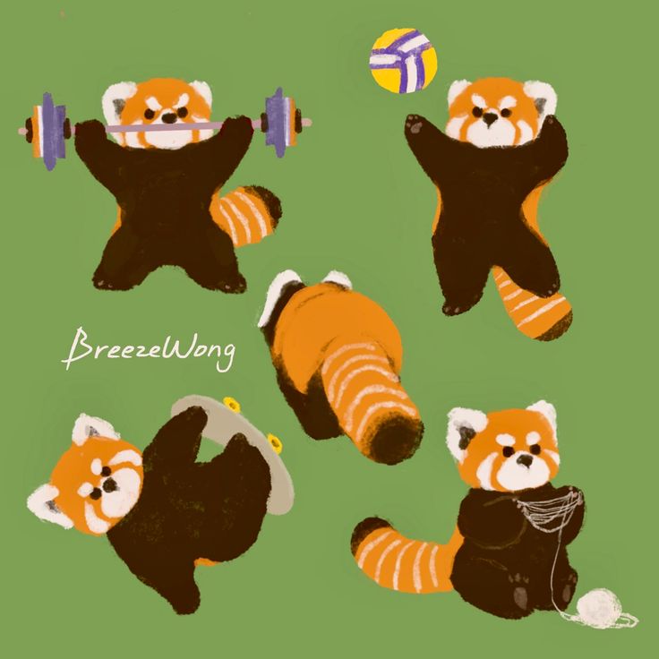 four pictures of different animals doing exercises with dumbbells, one in the shape of a raccoon