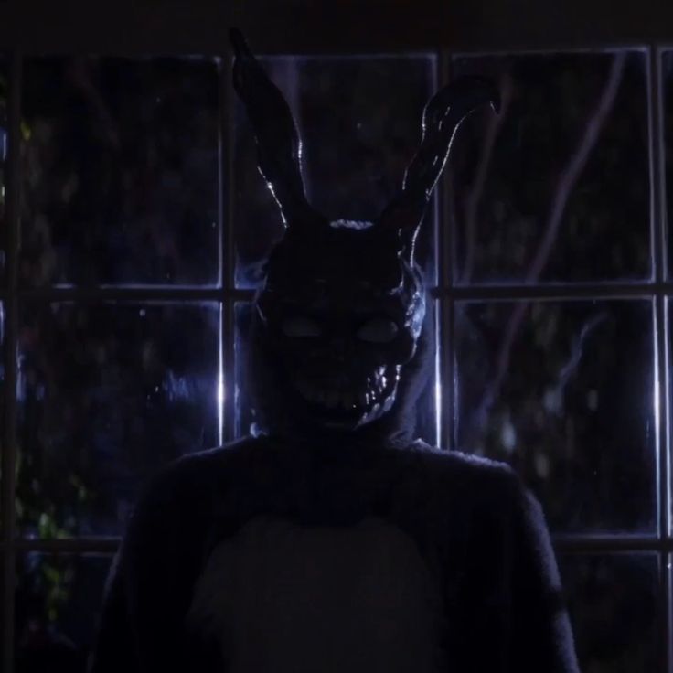 a person wearing a bunny mask standing in front of a window with the light on