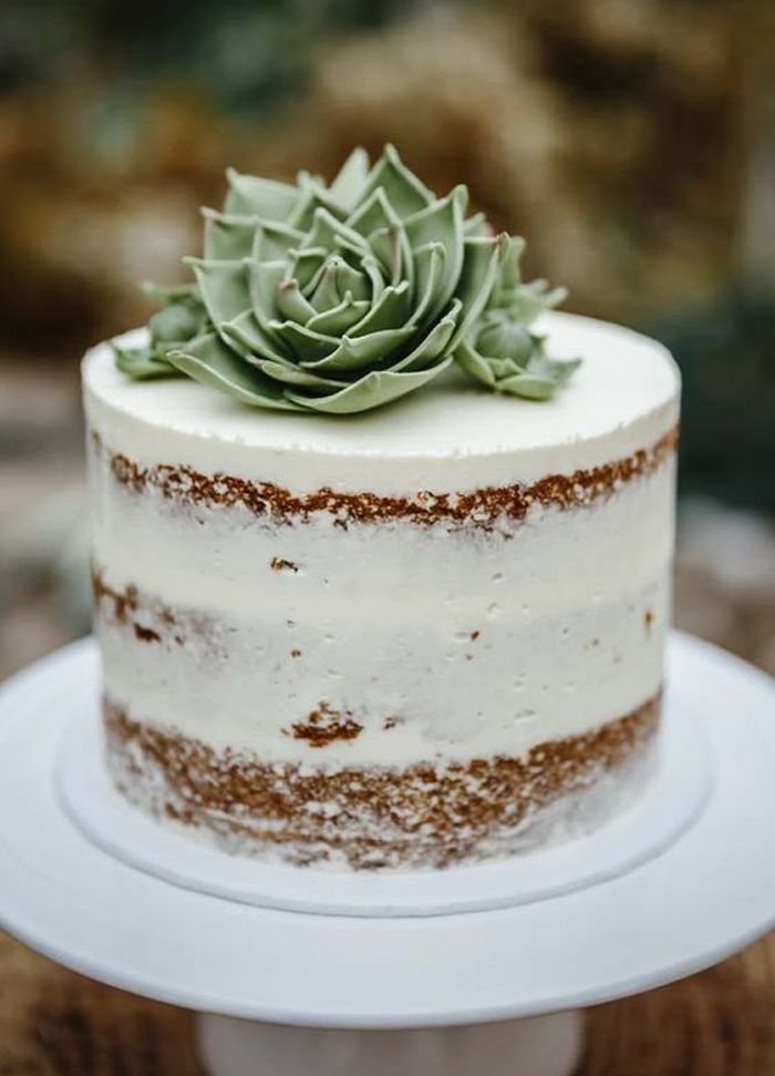 a white and brown cake sitting on top of a wooden table next to a plant