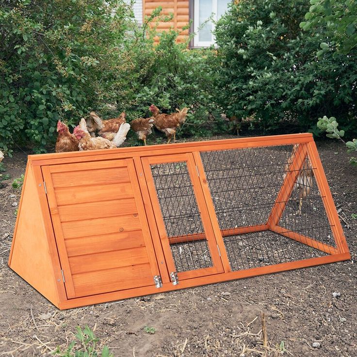 several chickens are standing on top of a chicken coop