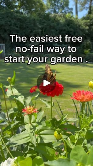 a butterfly sitting on top of a red flower next to green grass and flowers with the words, the easyest free no - fail way to start your garden