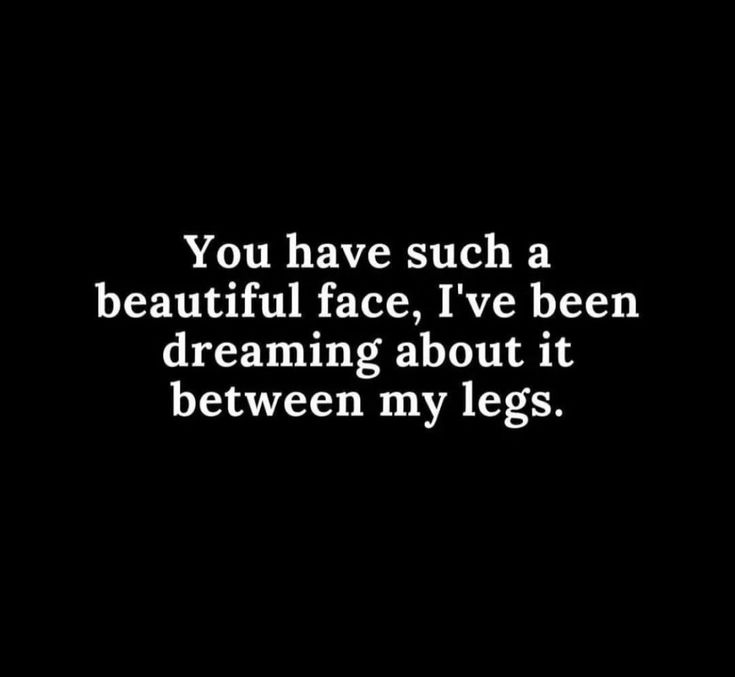 the words you have such a beautiful face, i've been dreaming about it between my legs