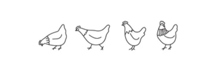 three chickens standing next to each other on a white background