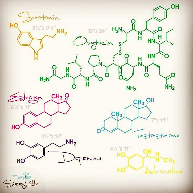 an image of the different types of benzolene and other chemicals on a white background