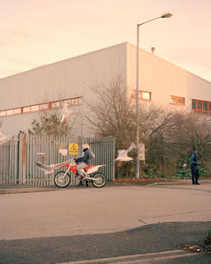 a person on a motor bike in front of a building with birds flying around it