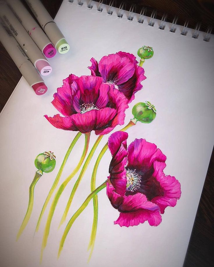 three pink flowers with green stems on a sheet of paper next to markers and pens