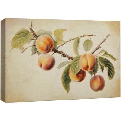 a painting of peaches on a branch with leaves