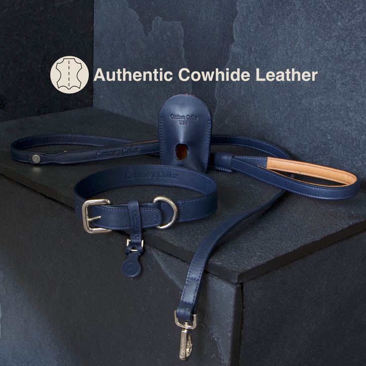 the blue leather leash is on display in front of a black box with an inscription authentic cowhide leather