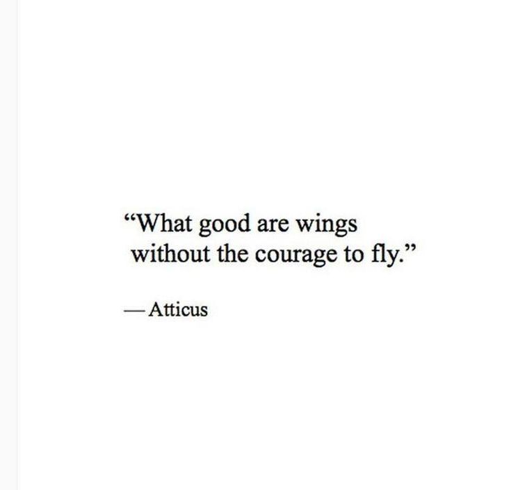 a quote from atticus that reads, what good are wings without the courage to fly