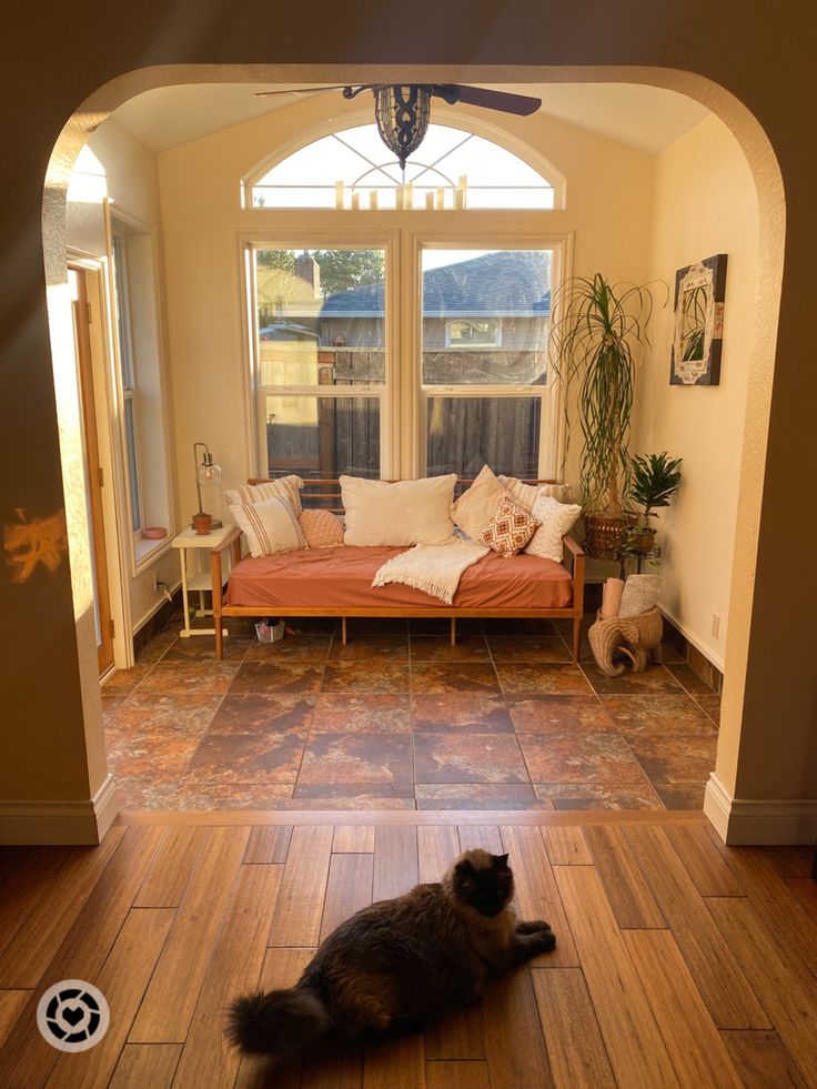 a black cat laying on the floor in front of a living room with an arched doorway