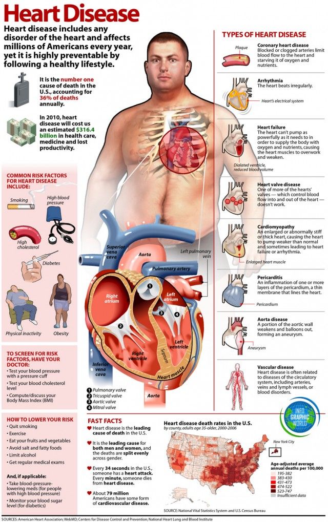 the heart and its major functions are shown in this diagram, which shows how it works