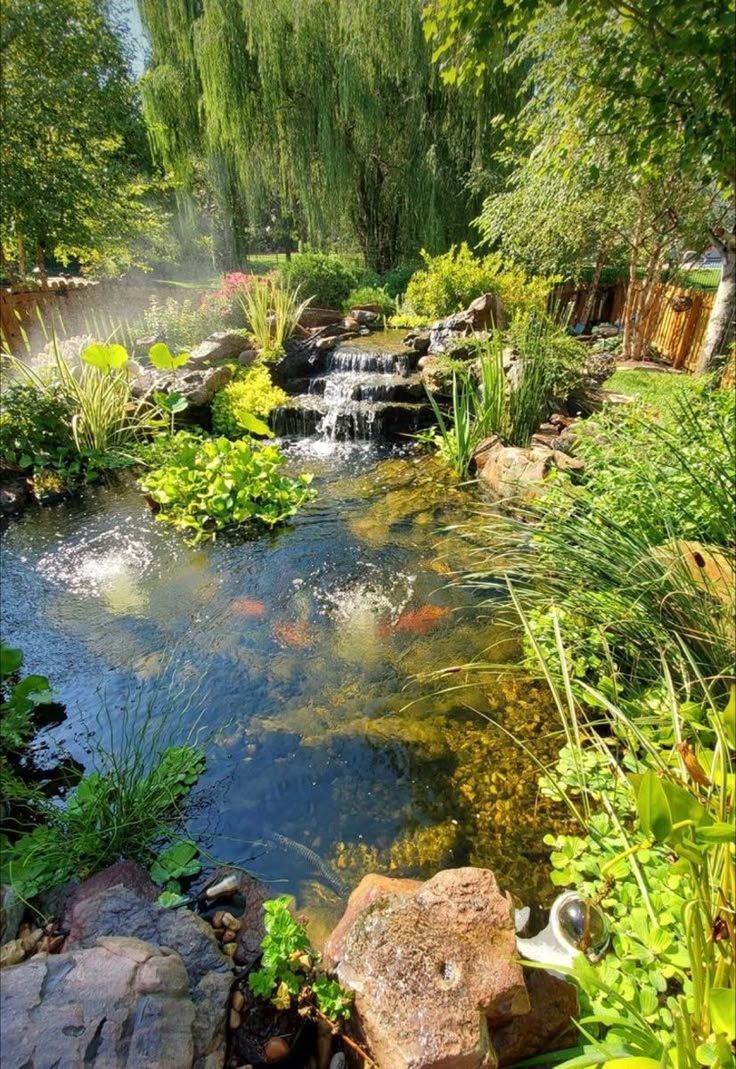 a small pond surrounded by plants and rocks