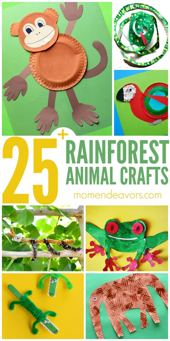 25 rainforest animal crafts for kids to make with paper plates and other things that are on the