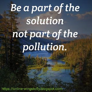 the quote be a part of the solution not part of the pollution on a lake